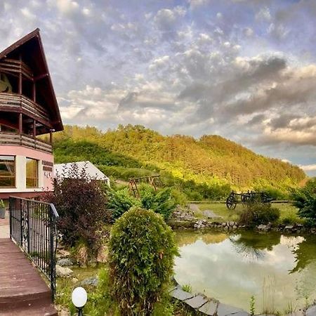 Pensiunea Armonia Nadaselu Luaran gambar
